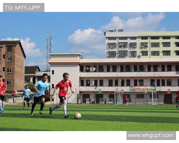 系统攻略足球明星的逆袭人生与热血青春之路